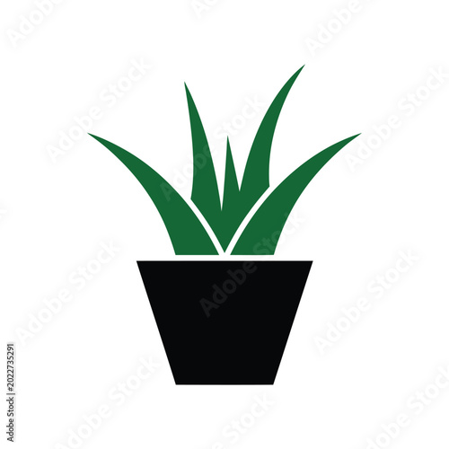 Black potted aloe vera plant silhouette on white background