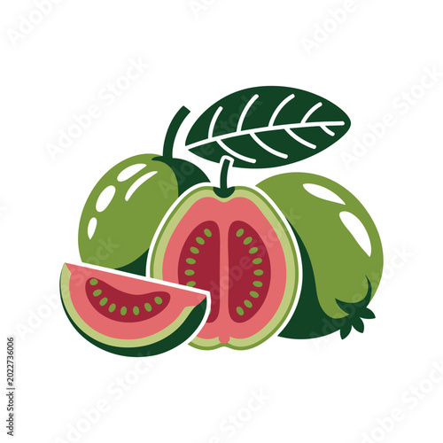 Fresh green watermelon slices and whole fruit vector illustration