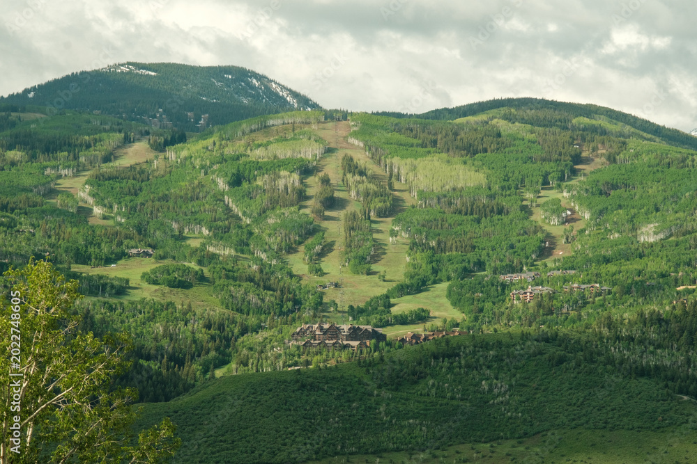 Fototapeta premium Summer in the rocky mountains near beaver creek resort. 