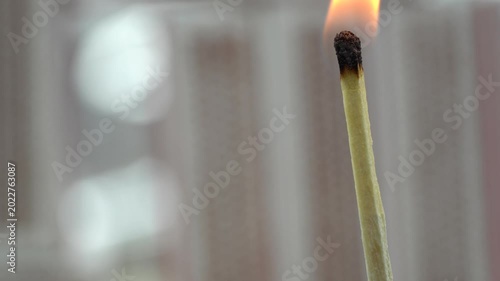 4K macro video of burning matchsticks with glowing flames and detailed charred tips.