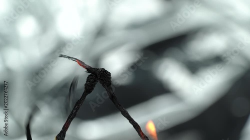 4K macro video of burning matchsticks with glowing flames and detailed charred tips.