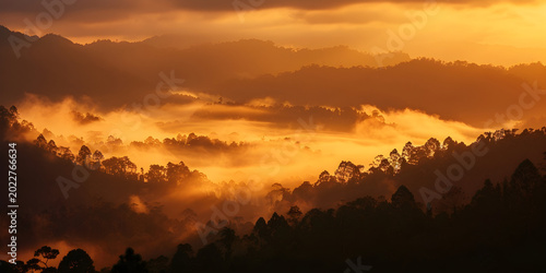 Golden sunrise over misty mountains and trees