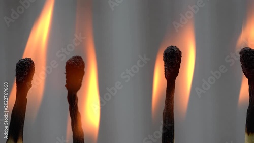 4K macro video of burning matchsticks with glowing flames and detailed charred tips.