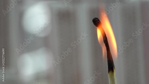 4K macro video of burning matchsticks with glowing flames and detailed charred tips.
