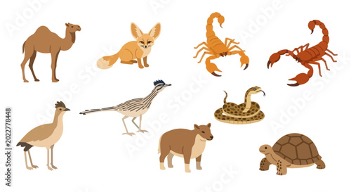 Bild auf Leinwand Desert Animals Collection: Camel, Fox, Scorpion, Snake, Tortoise, Bird, Coyote