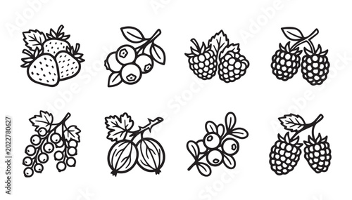 Assorted Fresh Berries on Branches Isolated on White Background Simple Line Drawing