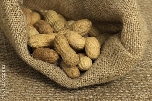 Peanut (Arachis hypogaea), fruit, legume, with shell, unshelled, Germany