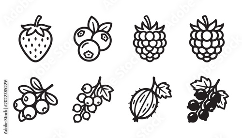 Assorted berries and fruit icons in a clean line art style for healthy food concepts