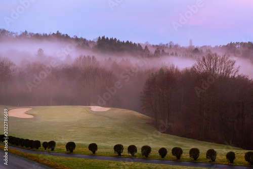 Misty winter dawn over Stegersbach golf course with row of shrubs and pink sunrise sky