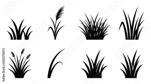 Quadro su tela Grass silhouettes collection black and white botanical illustrations