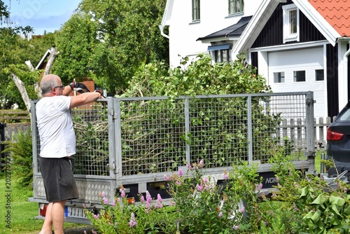 Fotografie A man loads garden waste and branches into a mesh trailer in front of a private