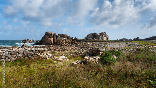 Dry stone walls and pink granite boulders on rugged Breton heath coast Plougrescant