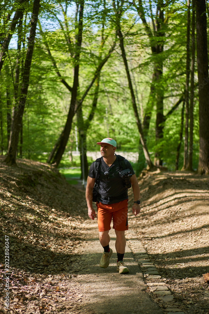 Obraz premium Man hiking on sunken forest trail