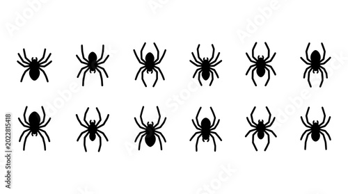 Group of scary black spider silhouettes with various leg positions, eight legs