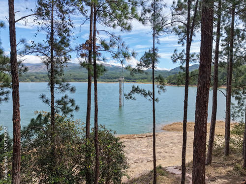Reserva forestal la yeguada