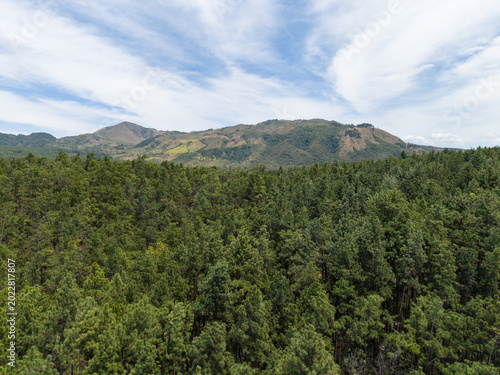 Reserva forestal la yeguada