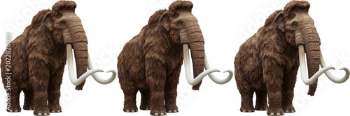 Photos Woolly mammoths isolated on white background, collection of prehistoric extinct