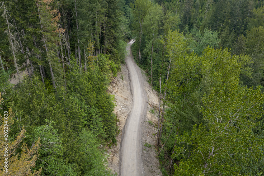 Fototapeta premium Winding Dirt Road Through Lush Evergreen Forest in British Columbia Canada Remote Landscape