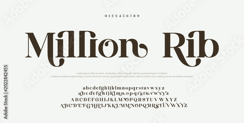 Tableau sur toile Million Rib Elegant alphabet letters font and number