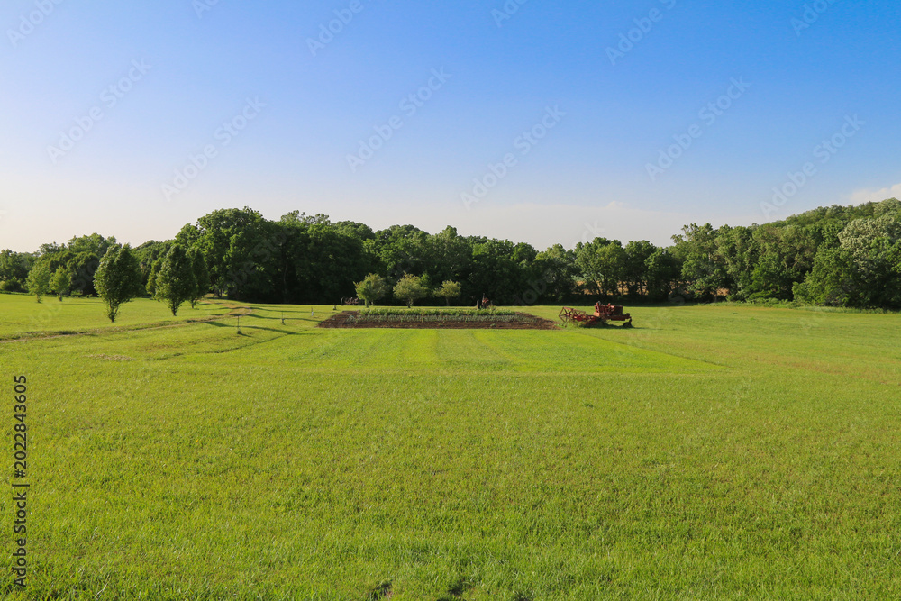 Obraz premium A green field stretches beneath a clear blue sky with a small garden patch trees in the distance and red farm equipment on a sunny day in the countryside