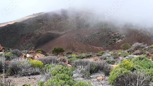Volcano in background with fast-moving cloud inversion over succulents in Teide National Park