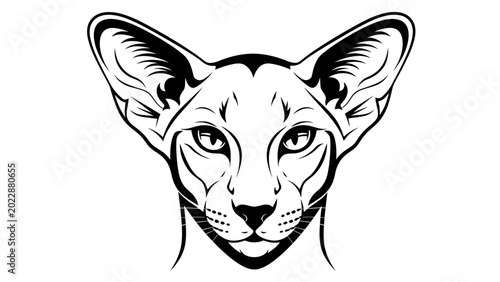 Foto Oriental Shorthair Cat Head Illustration Black and White