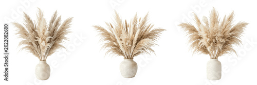Canvastavla Fluffy dried pampas grass bouquet in ceramic vase isolated transparent backgroun