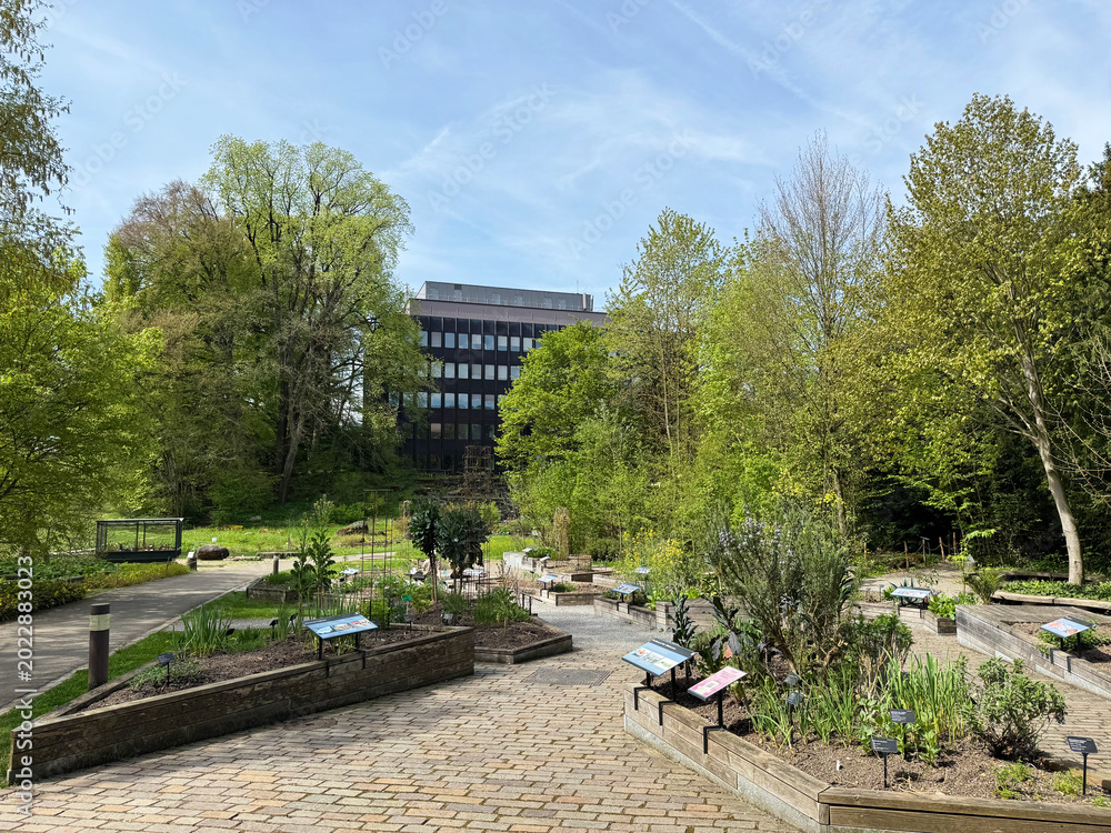 Fototapeta premium The Botanical Garden of the University of Zurich, Switzerland or Botanischer Garten der Universität Zürich (Botanischer Garten der Universitat Zurich - Botanischer Garten der Universitaet Zuerich)