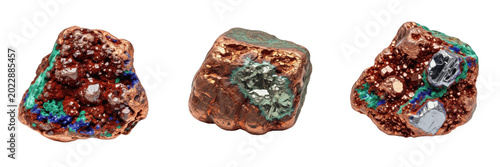 Raw Meatball with Fresh Herb Garnish Transparent PNG Uncooked Minced Beef For Culinary Recipes