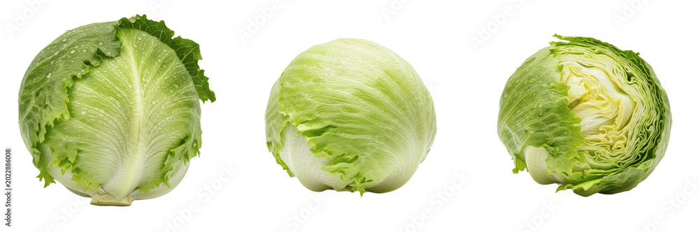Fototapeta premium Fresh Raw Green Iceberg Lettuce Head For Healthy Salad Ingredient On Transparent Background
