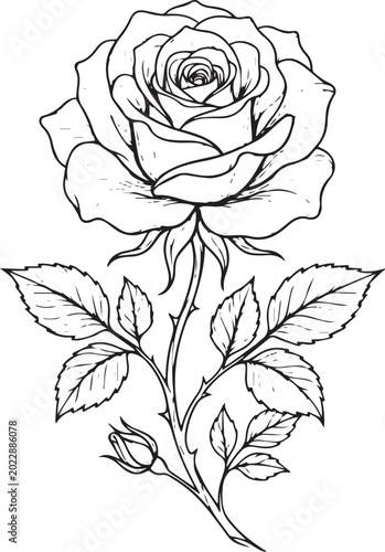Elegant black and white rose illustration with leaves and stem