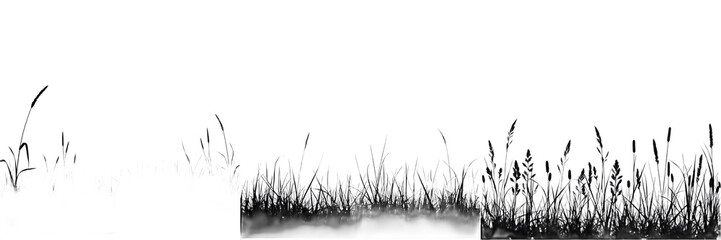 Garden Lawn Tuft Border Isolated on Transparent Background for Spring Nature Design