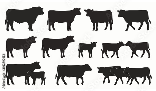 Photos Hand Drawn Black Angus Cattle Silhouette Collection Vector Illustration for Farm