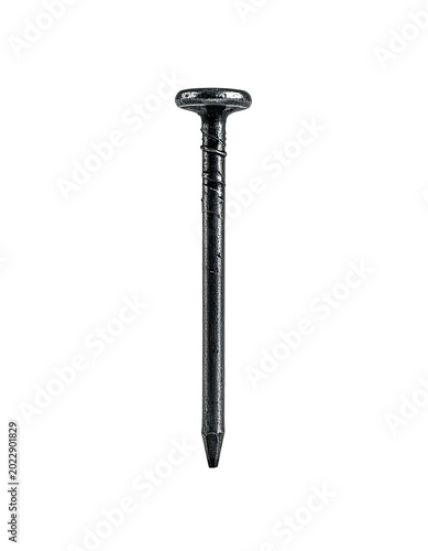 Close-up of a dark, shiny nail on a stark black background