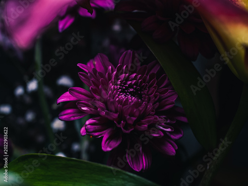 purple flower