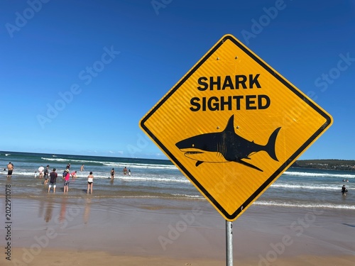 Shark sighted sign at the beach