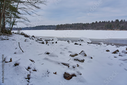 Принти на полотні The wintery shore of a frozen lake