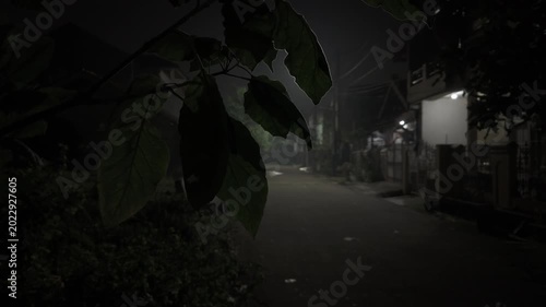 Dark moody street at night with silhouette leaves in foreground and hazy light on a quiet suburban road