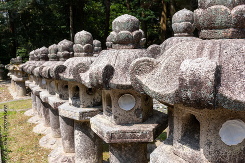 Foto Diagonal Row of Weathered Stone Lanterns with Lichen at Tokoji Mausoleum