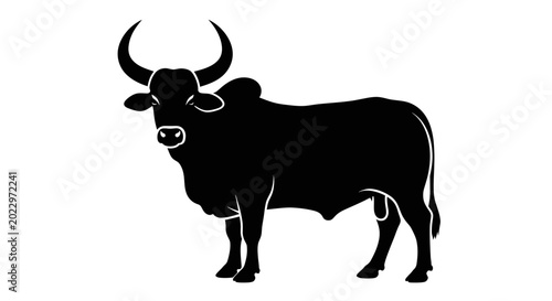 Photography Black silhouette of a zebu bull with large horns on a white background