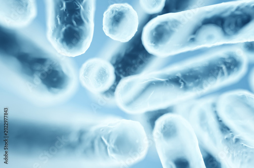Gram-negative Enterobacteriaceae, rod-shaped bacteria in digestive system microbiome. 3D rendering illustration