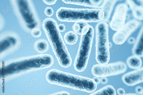 Enterobacteriaceae bacteria, gram-negative rods, close-up of microorganisms causing various infections. 3D rendering illustration