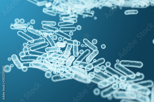 High-detail 3D rendering of Enterobacteriaceae, gram-negative rod-shaped bacteria in intestinal microbiome and infections. 3D rendering illustration