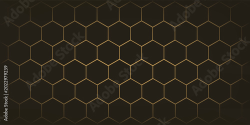 Billede på lærred Hexagon technology black dan berwarna emas honeycomb abstract background
