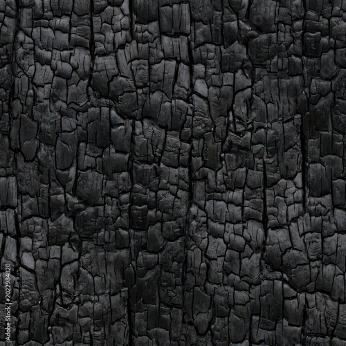 Detailed Close-Up of Charred Wood Texture with Cracks and Patterns.