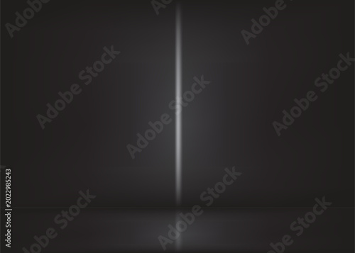 abstract gray and white backgrounds gradient vector illustration, display products ,room, interior	
