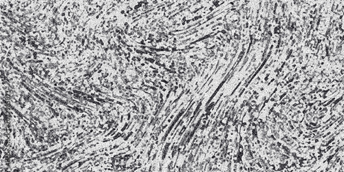 Fényképezés Abstract monochrome textured background with swirling organic lines and granular