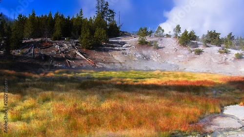 Yellowstone National Park