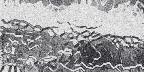 Quadro em tela Organic abstract monochrome pattern with wavy, interwoven lines and granular tex