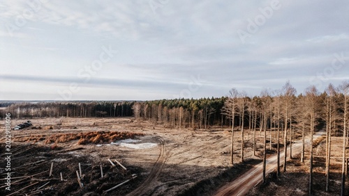 Obraz na plátne Aerial view of cut down trees deforestation area, cleared forest area